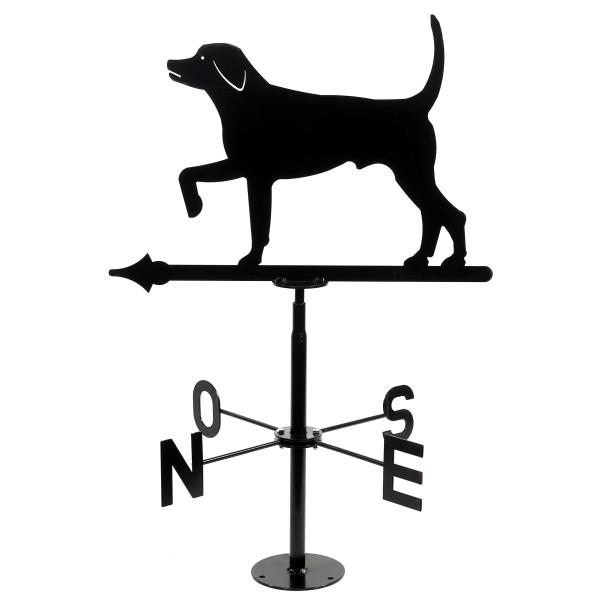 שבשבת רוח כלב